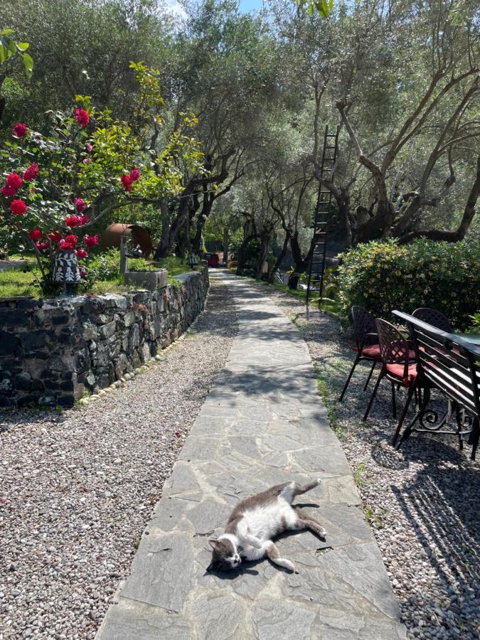 Hotel Villa Belvedere Bonassola Luaran gambar