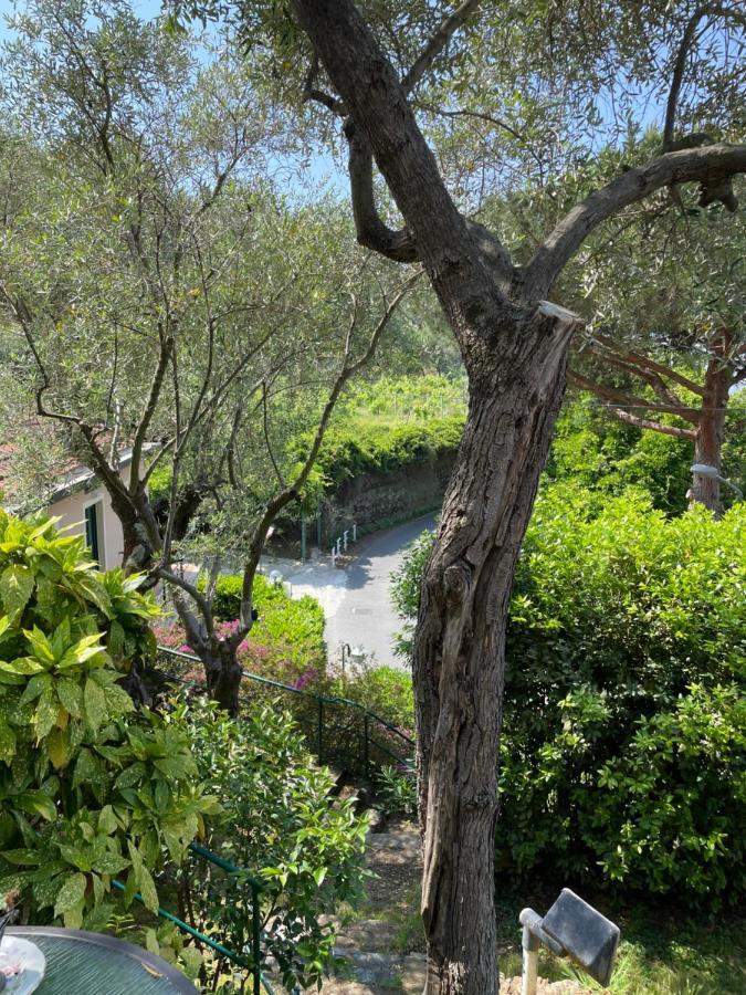 Hotel Villa Belvedere Bonassola Luaran gambar
