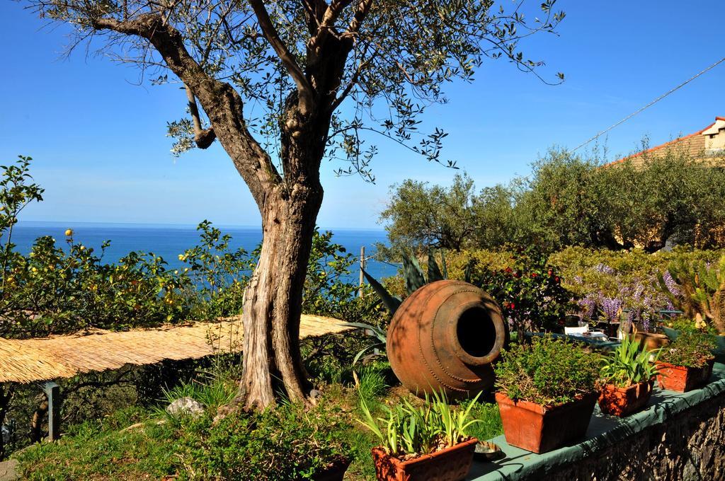 Hotel Villa Belvedere Bonassola Luaran gambar