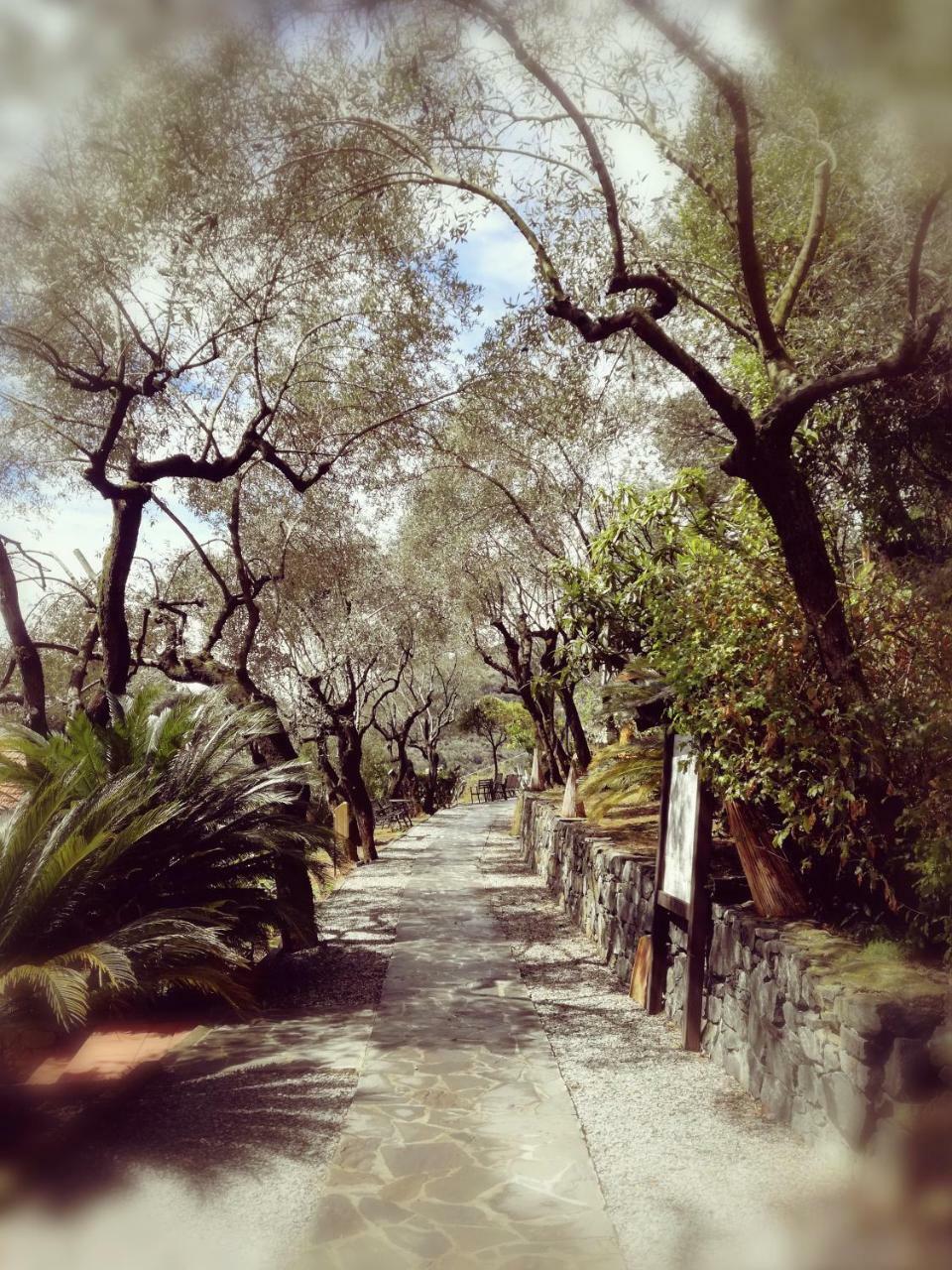 Hotel Villa Belvedere Bonassola Luaran gambar